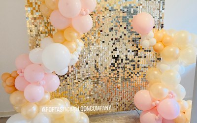 Champagne Gold Sequin Wall