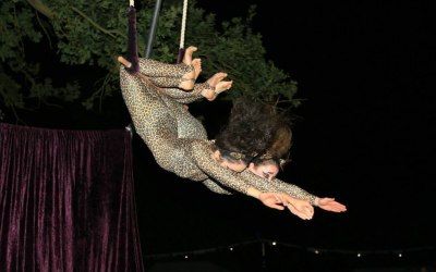 Aerialism Circus