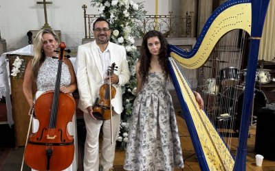 Harp trio & string acoustic duo