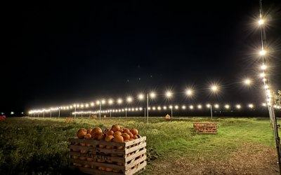 Event Festoon Lighting