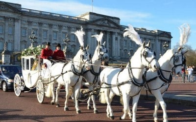Glass coach team at Buckingham Palace