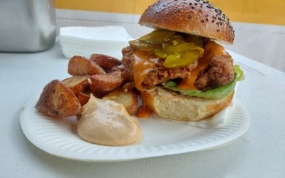 Chicken burger & wedges