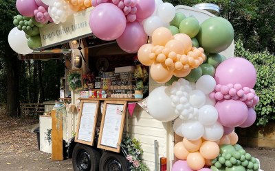 Organic Balloon Display