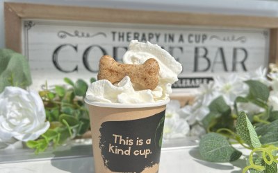 Dog friendly treats