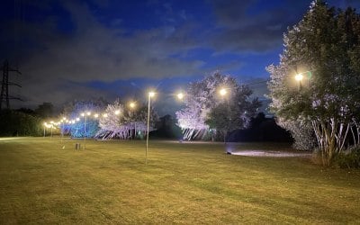 Wedding Festoon on 4m poles and tree uplighting