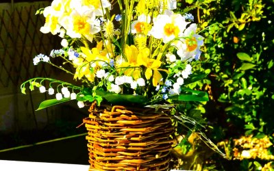 spring display in Willow vases