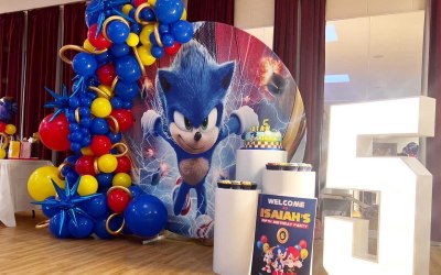 Sonic themed kids party 