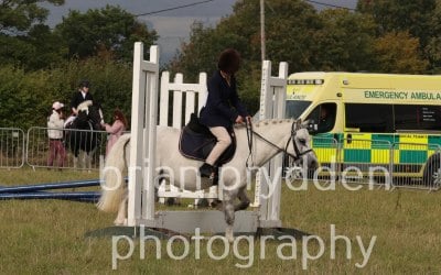 Equestrian cover Equestrian cover