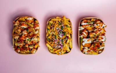 Loaded Fries