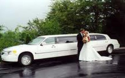 booker limousines cars