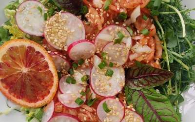 Lions mane crab cakes with kimchi, sorrel and blood orange