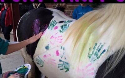 Therapeutic Equine Assisted Learning CIC