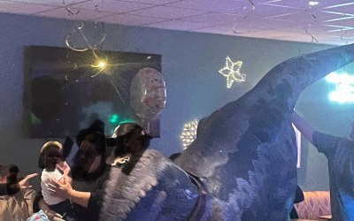 Immersive experience for all ages