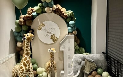 Sailbaord personalised with balloon garland all the way round, 4ft LED light up number and mother & baby giraffes and large elephant.