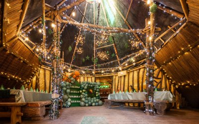 The whole party package The whole party package