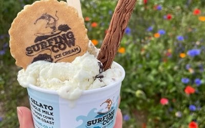 I stock delicious, Devon made gelato by the fabulous Surfing Cow team