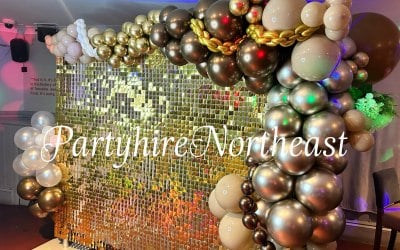 Choice of 4 glitter walls with or without balloons 