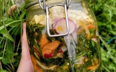 Wild garlic kimchi