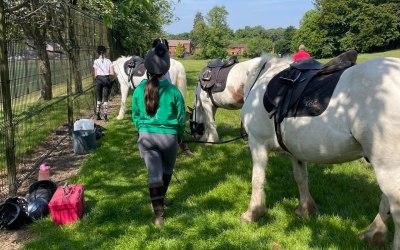 Pony rides 