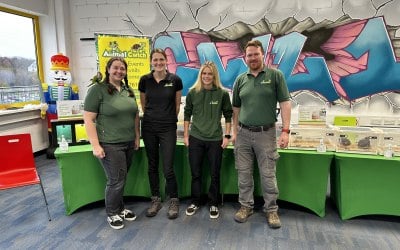 Animal Cwtch Team 