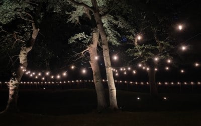 Festoon and Uplighting Provided by LSL