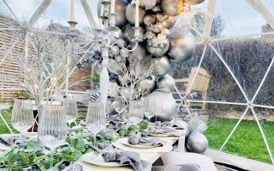 Winter Wonderland Christmas Picnic Experience 