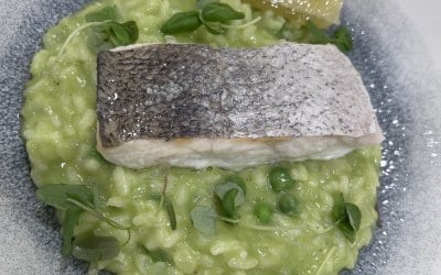 pan seared sea bass on wild garlic and pea risotto