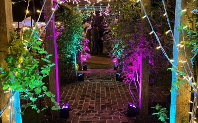 Fairy Lights & Uplighting