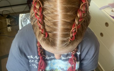 Festival braids
