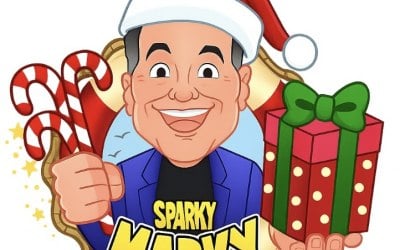 AMAZING FESTIVE ENTERTAINMENT 