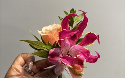 Buttonhole Buttonhole