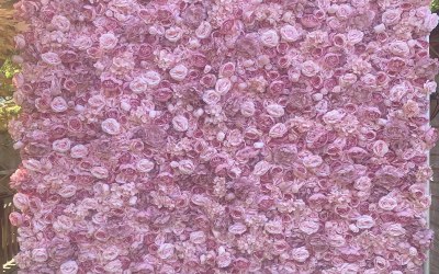 Rose Flora Flower Wall