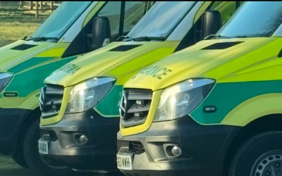 Some of the Fleet 