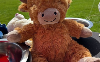 Make a Teddy 
