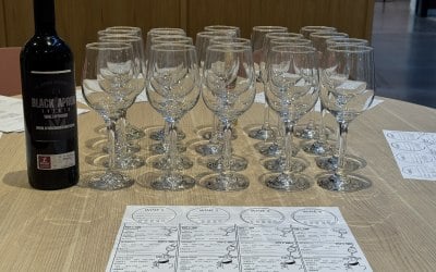 Wine Tasting  Wine Tasting