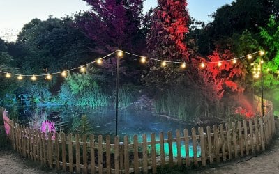 Outdoor Event Lighting