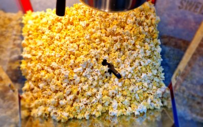 Popcorn and more Popcorn 
