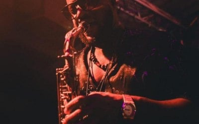 Music festival performance 