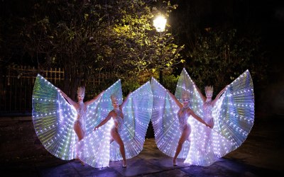 LED Wings 