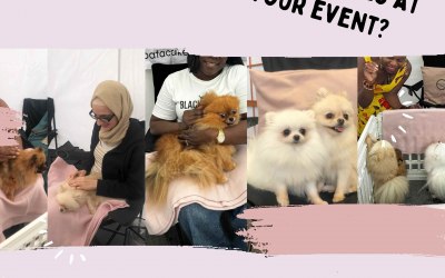 We Provide Animals For Events