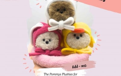 We Provide Presents For Events