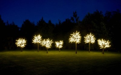 Twilight Trees, The LED Tree Company
