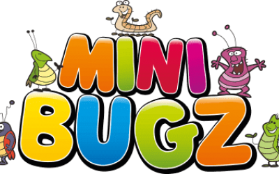 Mini Bugz Soft Play Hire