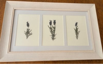 Pressed Flower Workshop