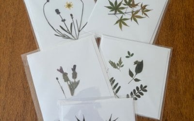 Pressed flower card crafting