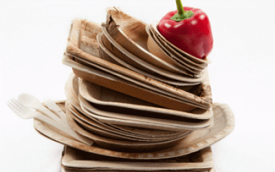 Natural Palm Leaf Plates and Bowls