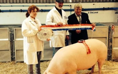 Supreme Champion Pembrokeshire County Show