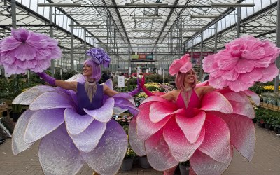 Walk about roses available in; Pink, Purple, Yellow and Red as roller skaters, walk about dancers and stilt walkers. 