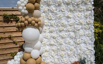 Flower wall with balloon garland and Wicker Pram