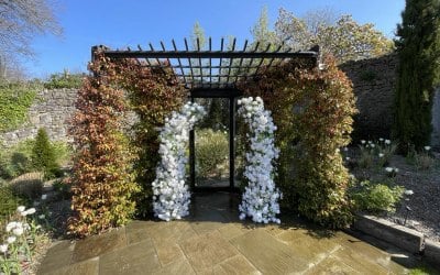 Broken Bloom Flower Arch 